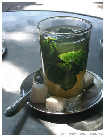 Les 13 bienfaits du thé vert sur la santé et le bien-être