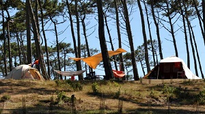 Un camping à 4 étoiles : Le Saint Martin