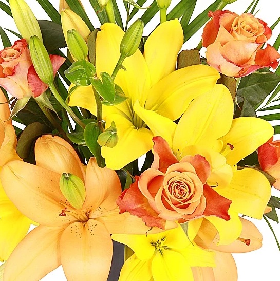 Exprimez-vous grâce à de magnifiques bouquets floraux d’Hipper.com
