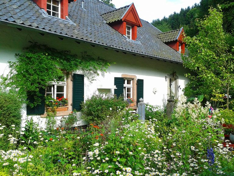 critères de choix de fleurs de maison