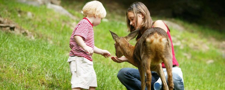 moment en famille en visitant un parc aux animaux