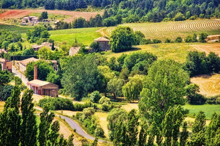 Un séjour en Provence  que voir et que faire