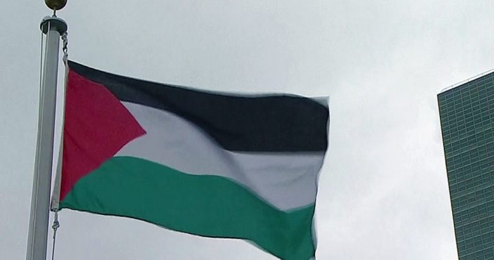 La signification du drapeau palestinien ?