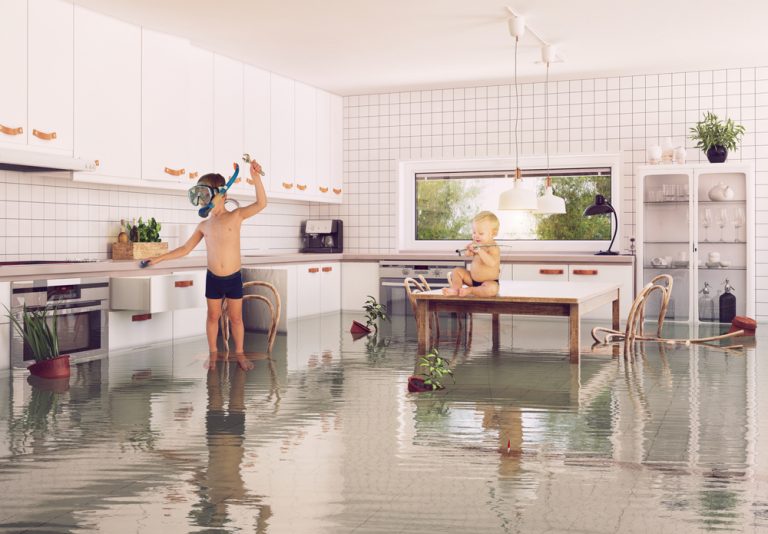 Quels sont les problèmes de plomberie les plus courants dans une habitation ?
