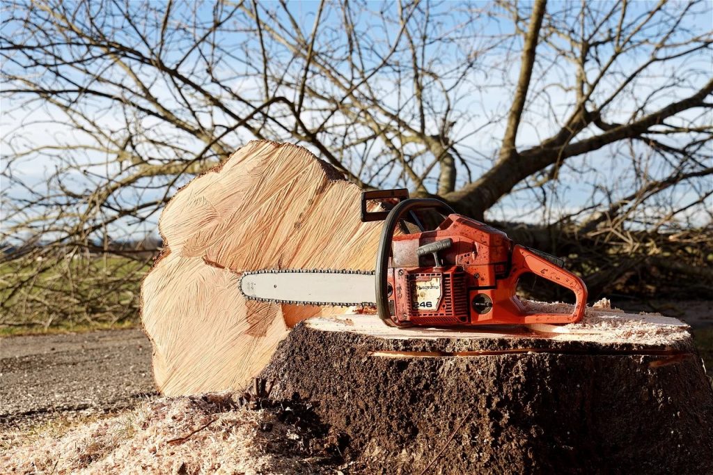 Les outils nécessaires pour abattre un arbre