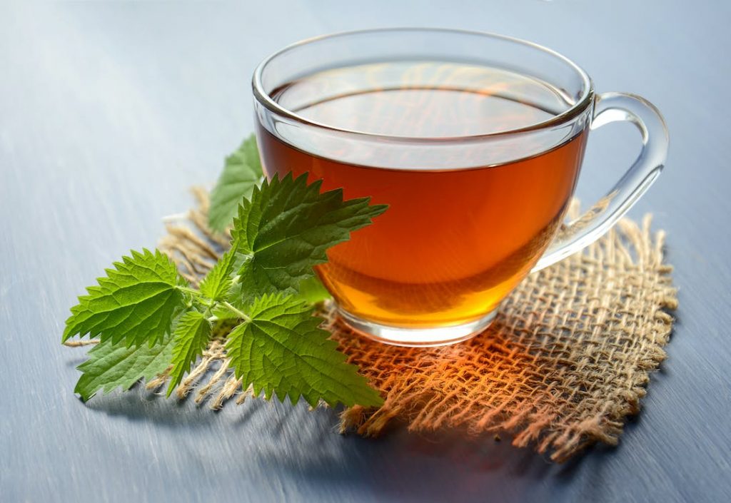 Tout ce qu’il faut savoir sur les bienfaits du thé rouge ou rooibis