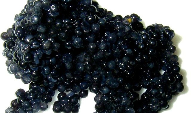 Déguster du caviar : points clés à connaitre !