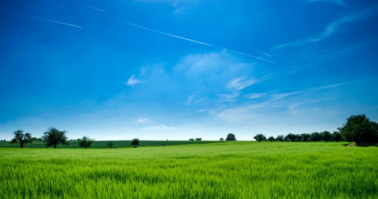 Crédit Agricole Pays de la Loire : Votre Partenaire Financier Local et Engagé