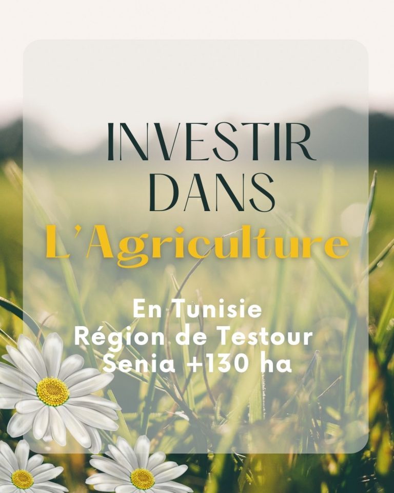 Testour belle exploitation agricole mixte