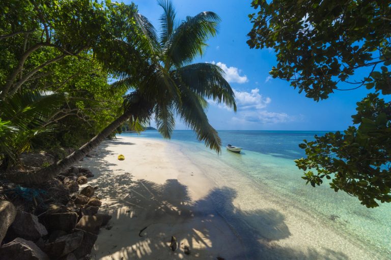 Les Plages Envoûtantes du Brésil