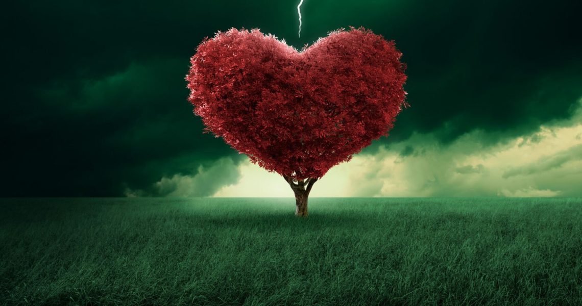 Tree in the shape of heart hit from a lightning